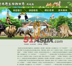 详细信息