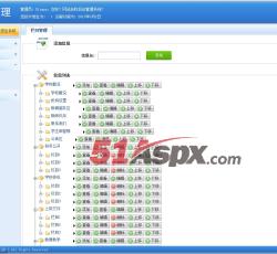 栏目管理 栏目管理