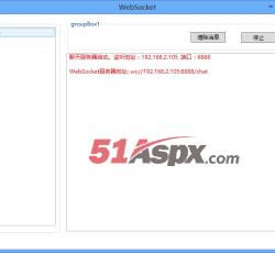 WebSocket启动 WebSocket启动