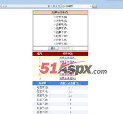 投票界面 投票界面