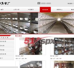 案例展示
