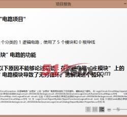 项目报告