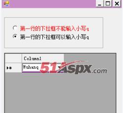 可以输入