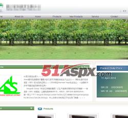 英文页面