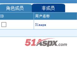 角色设置 角色设置