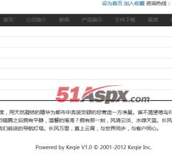 公司介绍