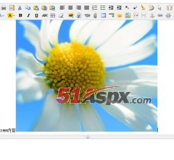 编辑器内容添加