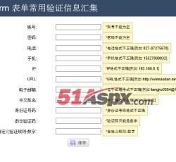 Form表单验证