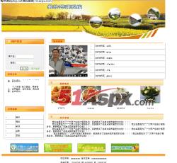 前台首页 前台首页