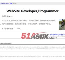 数据查询分析工具