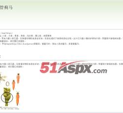 详细页面 详细页面