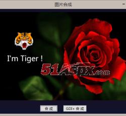 合成