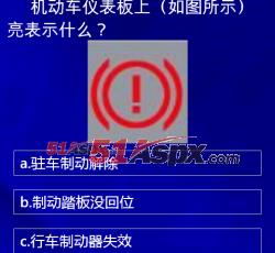 效果展示