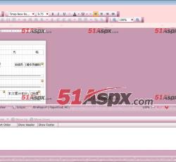 动态设置发票样式 动态设置发票样式