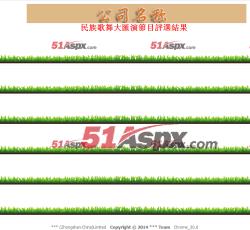 效果展示 效果展示