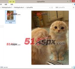 生成文件 生成文件