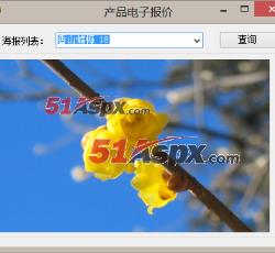 图片查询