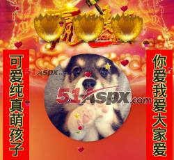 用户砸金蛋