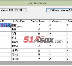 ExecuteReader