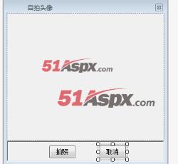 演示图