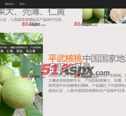 电脑显示效果(2)