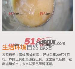 手机显示效果(3)