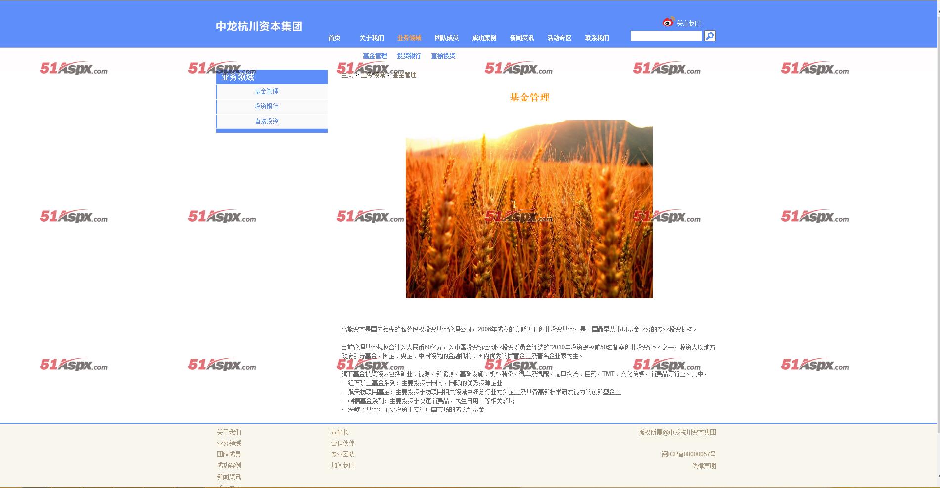 业务领域