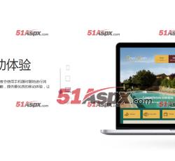 效果