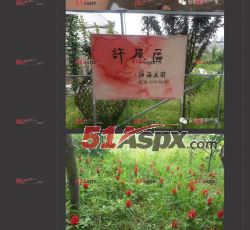 摩登人家汽车服务-新闻资讯--市场活动