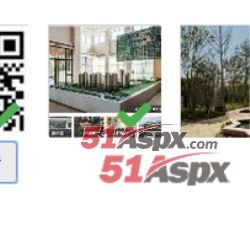 批量上传图片Asp.Net Mvc 多图上传