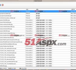 输出死链接视图