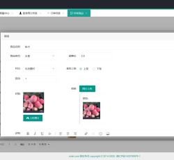 村级商品 村级商品