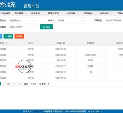使用查询