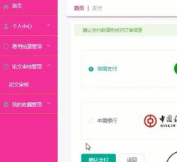 支付