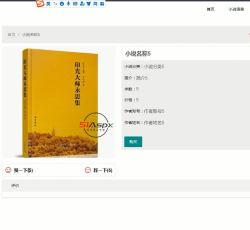 小说名称