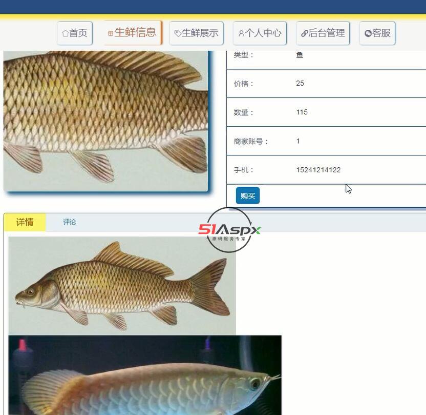 4.jpg