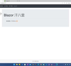 默认路由欢迎页面.png