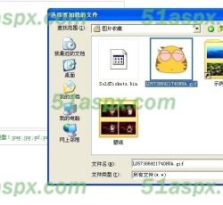 选择上传文件 选择上传文件