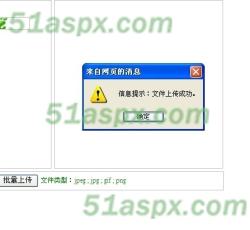 上传成功提示 上传成功提示