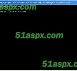 tcpserver1 tcpserver1