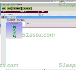 教师信息 教师信息