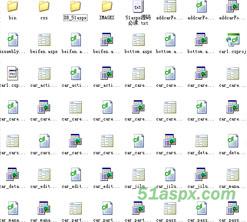 某大学车辆管理系统商用源码