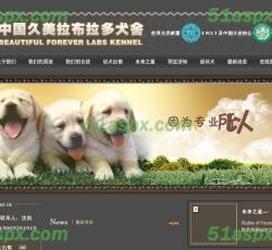 网站首页