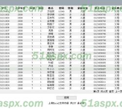 预览Excel