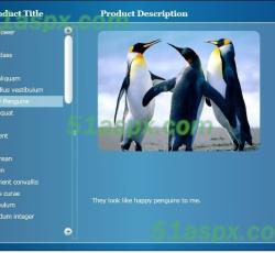 图片查看二 图片查看二