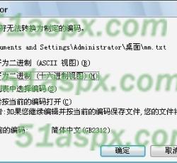 打开加密文件提示