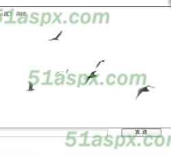 测试聊天 测试聊天