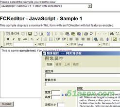 FCKeditor2.4.2编辑器 For Asp.net多语言版
