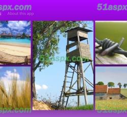Pictures