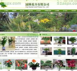 网站首页